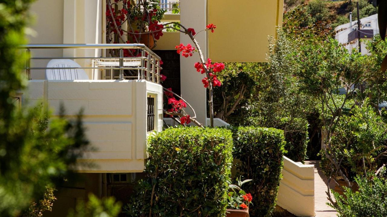 Apartment Lefka *