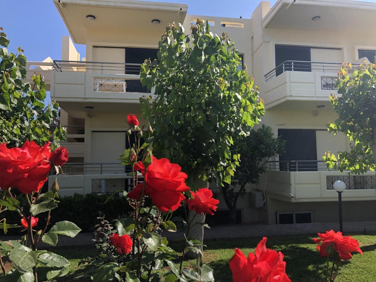 Lefka Apartment